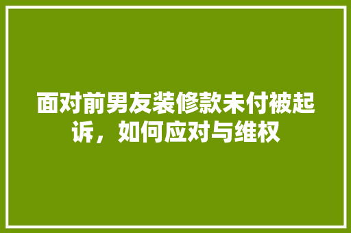 面对前男友装修款未付被起诉，如何应对与维权  第1张
