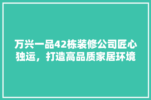 万兴一品42栋装修公司匠心独运，打造高品质家居环境