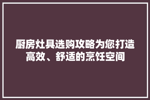 厨房灶具选购攻略为您打造高效、舒适的烹饪空间