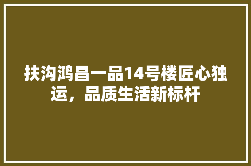 扶沟鸿昌一品14号楼匠心独运，品质生活新标杆