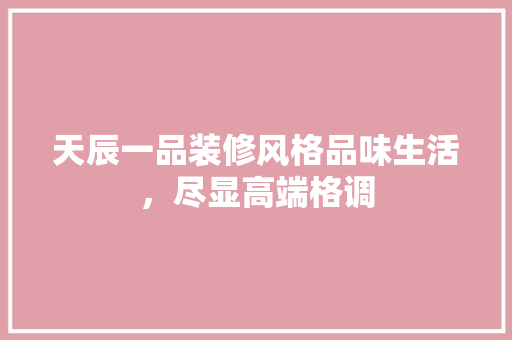 天辰一品装修风格品味生活，尽显高端格调