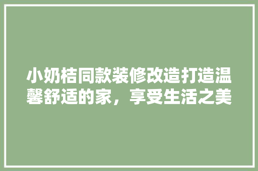 小奶桔同款装修改造打造温馨舒适的家，享受生活之美