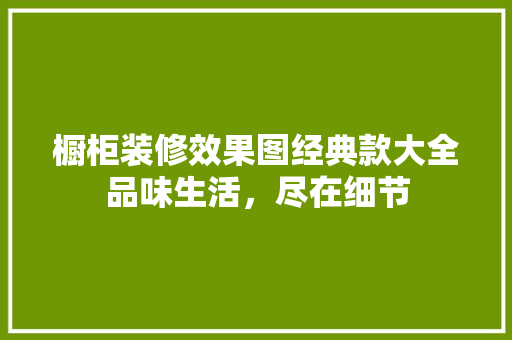 橱柜装修效果图经典款大全品味生活，尽在细节