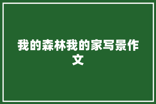 爆款店铺装修图案欣赏创意与美学的完美融合