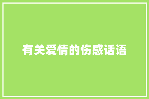 红色卫衣套装修身款男童时尚与适用的完美结合