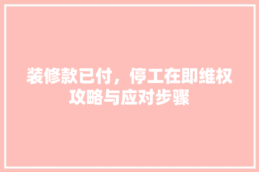 装修款已付，停工在即维权攻略与应对步骤