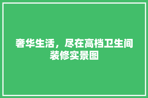 奢华生活，尽在高档卫生间装修实景图
