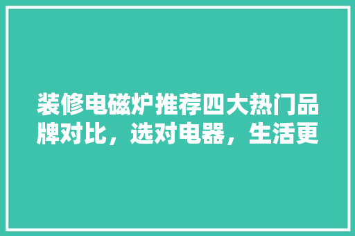 装修电磁炉推荐四大热门品牌对比，选对电器，生活更便捷！