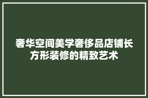 奢华空间美学奢侈品店铺长方形装修的精致艺术