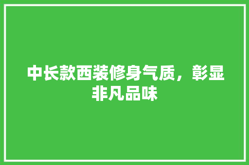 中长款西装修身气质，彰显非凡品味