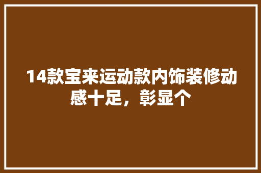 14款宝来运动款内饰装修动感十足，彰显个