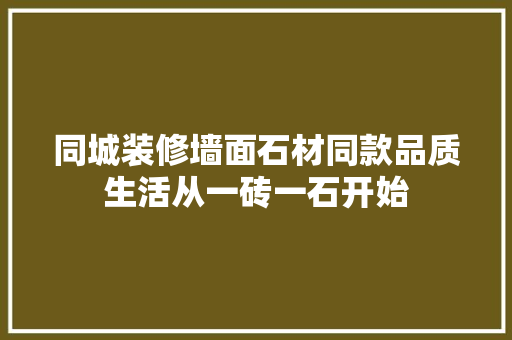 同城装修墙面石材同款品质生活从一砖一石开始