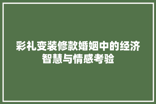 彩礼变装修款婚姻中的经济智慧与情感考验