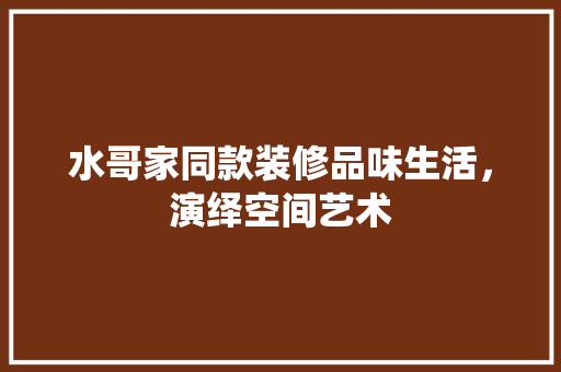水哥家同款装修品味生活，演绎空间艺术