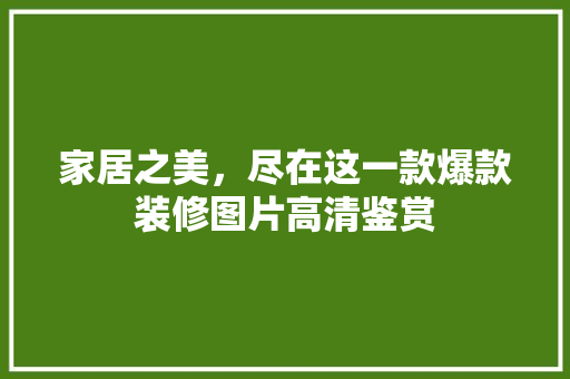 家居之美，尽在这一款爆款装修图片高清鉴赏