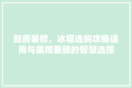 新房装修，冰箱选购攻略适用与美观兼顾的智慧选择