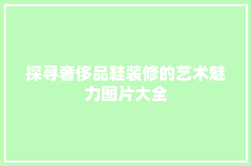 探寻奢侈品鞋装修的艺术魅力图片大全