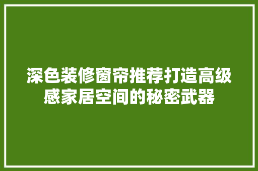深色装修窗帘推荐打造高级感家居空间的秘密武器