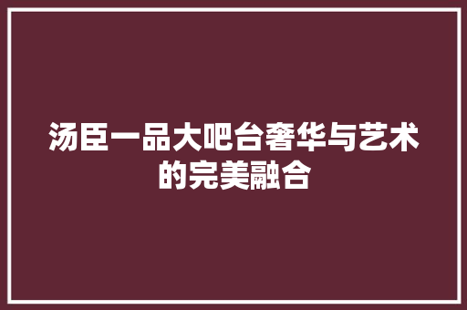 汤臣一品大吧台奢华与艺术的完美融合