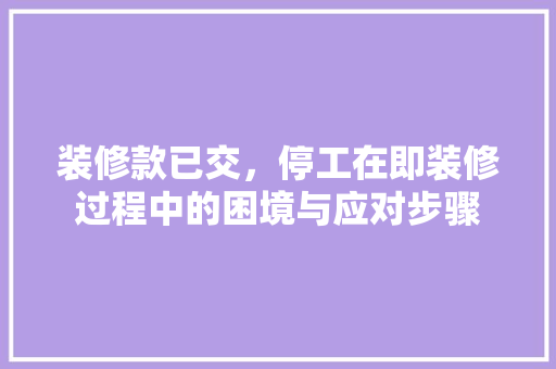 装修款已交，停工在即装修过程中的困境与应对步骤