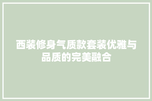 西装修身气质款套装优雅与品质的完美融合