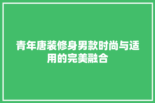 青年唐装修身男款时尚与适用的完美融合