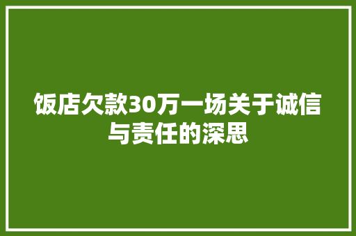 饭店欠款30万一场关于诚信与责任的深思