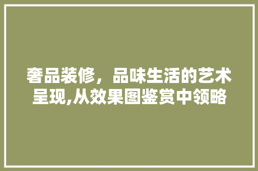 奢品装修，品味生活的艺术呈现,从效果图鉴赏中领略高端装修之美