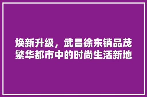 焕新升级，武昌徐东销品茂繁华都市中的时尚生活新地标