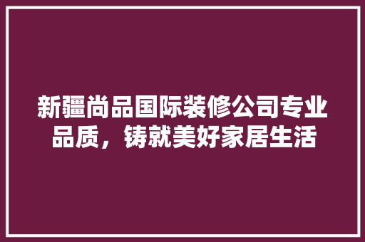 新疆尚品国际装修公司专业品质，铸就美好家居生活