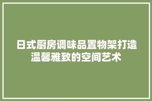 日式厨房调味品置物架打造温馨雅致的空间艺术  第1张