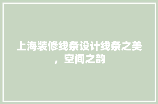 上海装修线条设计线条之美，空间之韵