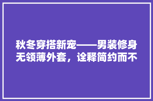 秋冬穿搭新宠——男装修身无领薄外套，诠释简约而不简单的时尚方法