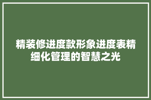 精装修进度款形象进度表精细化管理的智慧之光
