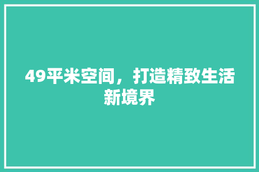 49平米空间，打造精致生活新境界