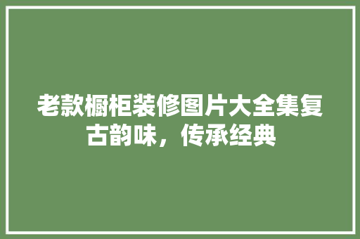 老款橱柜装修图片大全集复古韵味，传承经典