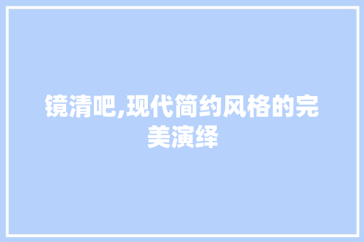镜清吧,现代简约风格的完美演绎  第1张