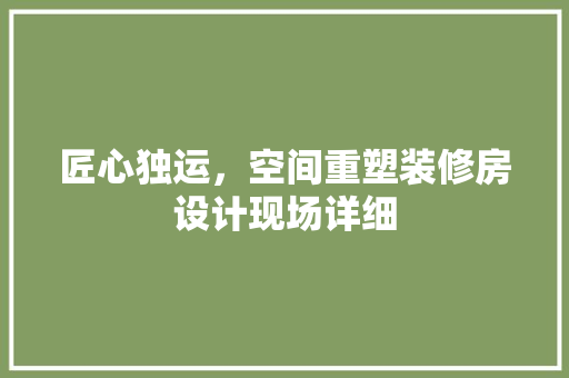匠心独运，空间重塑装修房设计现场详细