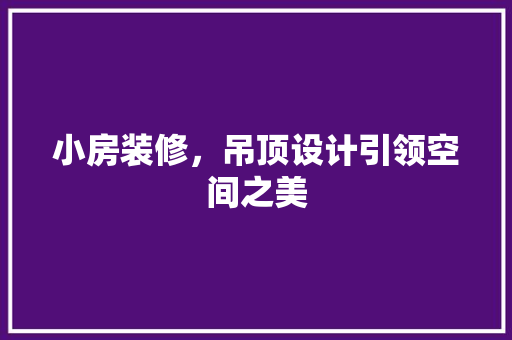 小房装修，吊顶设计引领空间之美