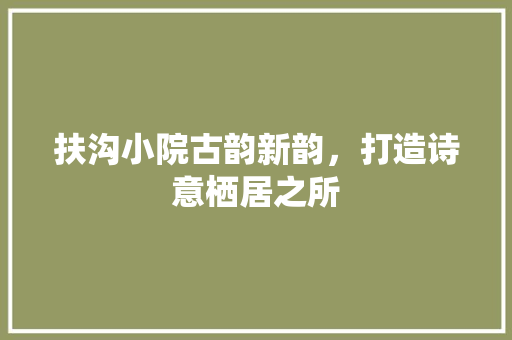 扶沟小院古韵新韵，打造诗意栖居之所