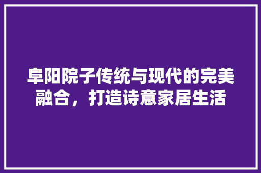 阜阳院子传统与现代的完美融合，打造诗意家居生活  第1张