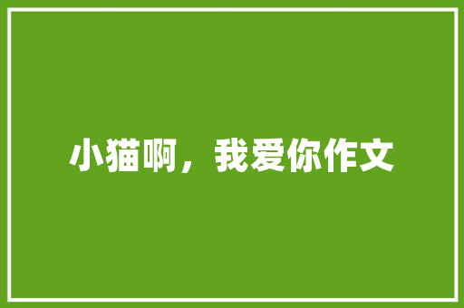 崇仁店面装修设计