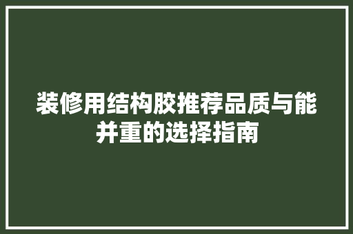 装修用结构胶推荐品质与能并重的选择指南