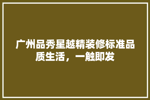 广州品秀星越精装修标准品质生活，一触即发