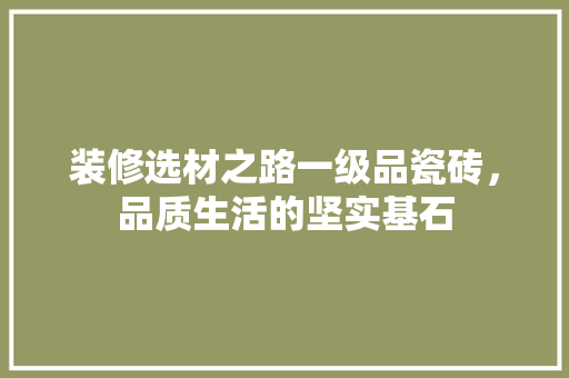 装修选材之路一级品瓷砖，品质生活的坚实基石