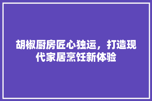胡椒厨房匠心独运，打造现代家居烹饪新体验  第1张