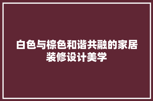 白色与棕色和谐共融的家居装修设计美学